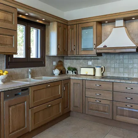 Zelion * 斯泰里达