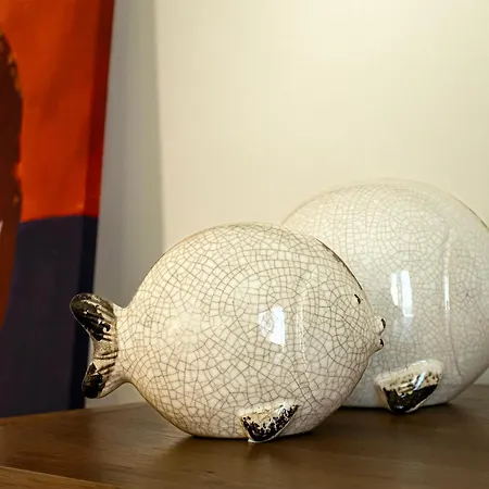 Zelion * 斯泰里达