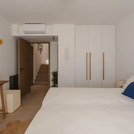 Zelion * 斯泰里达