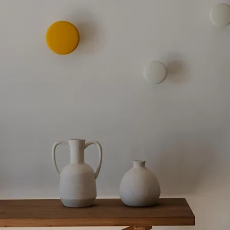 Zelion * 斯泰里达